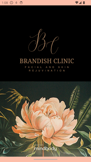 The Brandish Clinic Screenshot 0