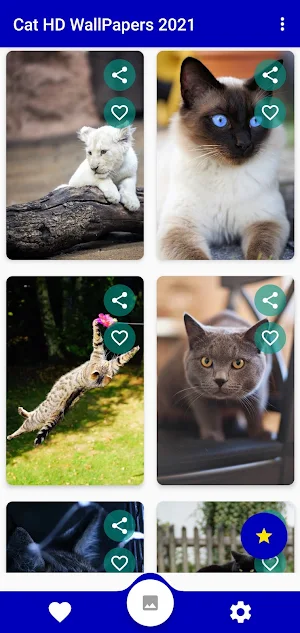Cat UHD Wallpapers 2021 Screenshot 2