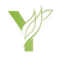 Yvonnes Pilates Studio