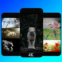 4k wallpapers (HD backgrounds)
