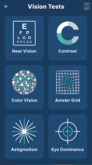 EyeInsight Screenshot 1