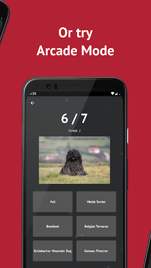 Dog Breeds: Quiz Screenshot 2