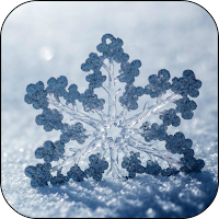 Snowfall Live Wallpapers Video