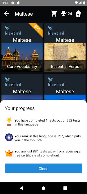 Maltese Language Tests Screenshot 2