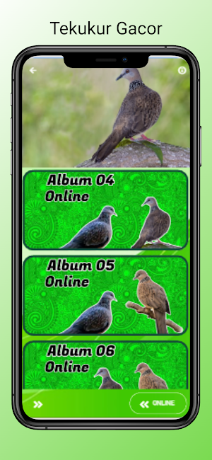 Suara Burung Tekukur Gacor screenshot 4