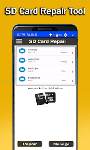 Repair SD Card Screenshot 0