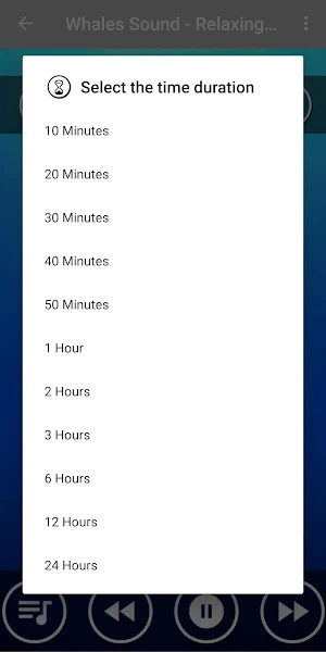 Underwater Whale Sounds for Sleep Screenshot 2