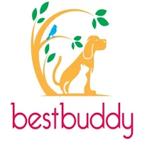 BestBuddy
