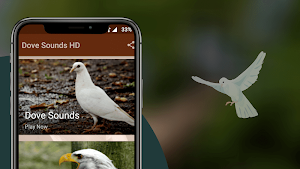 Dove Sounds - Dove Calls for Hunting Screenshot 0