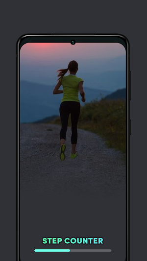 Step Counter Screenshot 0