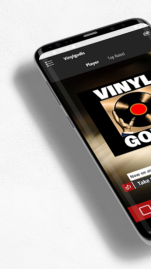 Vinylgodis Screenshot 0