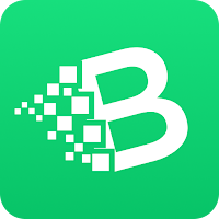 Bitcoin Cash Miner