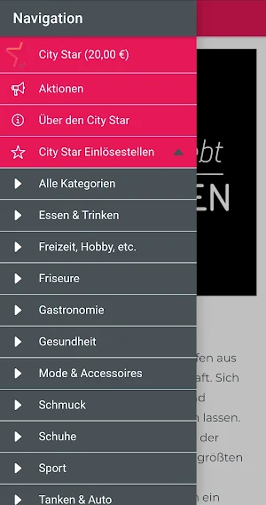 Aalen City Screenshot 3