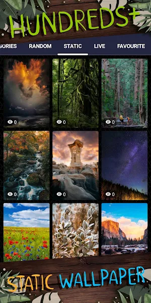 nature wallpaper Screenshot 3