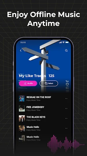 Audio Insight - Offline Music Screenshot 1