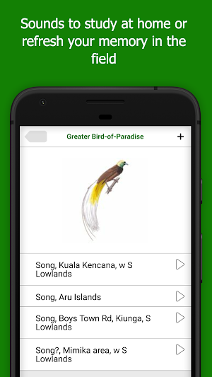 Birds of New Guinea Screenshot 3