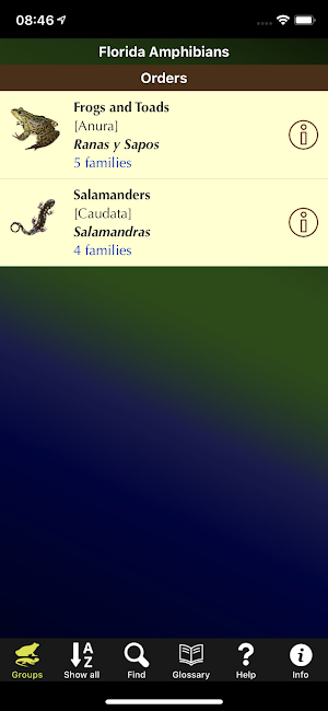Florida Amphibians Screenshot 3