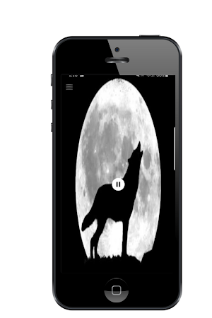 Wolf Sound Howling Screenshot 2