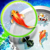 Shin Goldfish Scooping