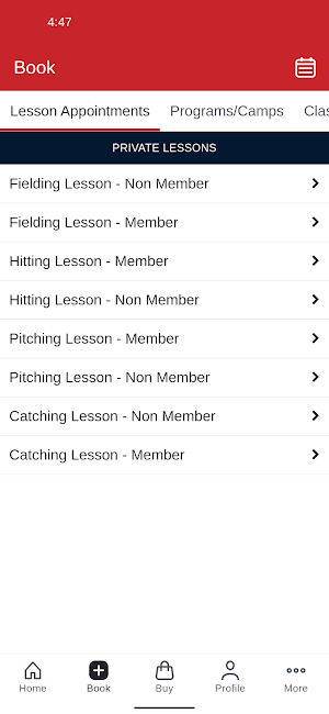 Home Plate Baseball Screenshot 1