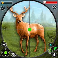 Wild Animal Hunting & Shooting