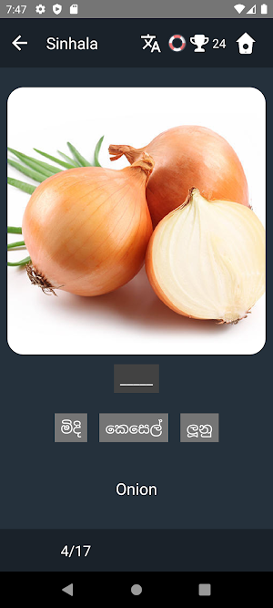 Sinhala Language Tests Screenshot 3