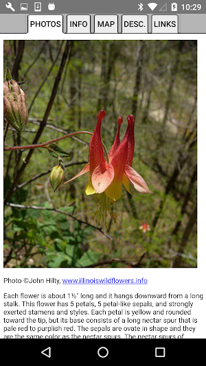 Wisconsin Wildflowers Screenshot 3