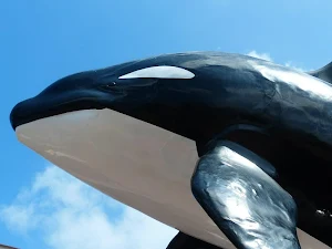 Whale wallpapers Screenshot 2