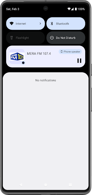 Radio Pakistan Screenshot 3