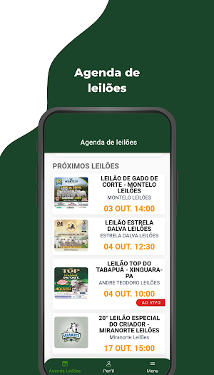 Canal Leilões Screenshot 0