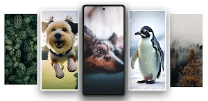 Multi Picture Wallpaper Screenshot 3