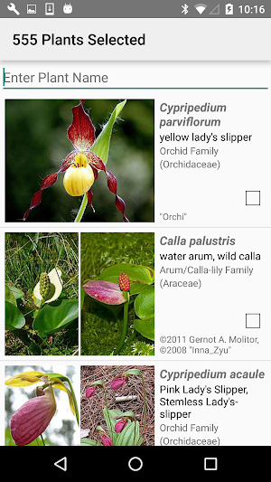 Michigan Wildflowers Screenshot 2