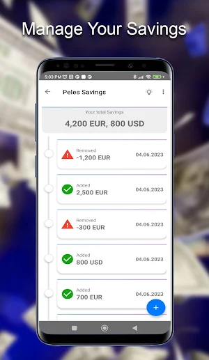Peles Savings Screenshot 1