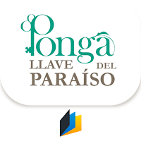 Ponga AR