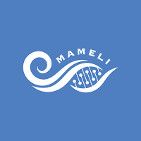 Progetto Mameli