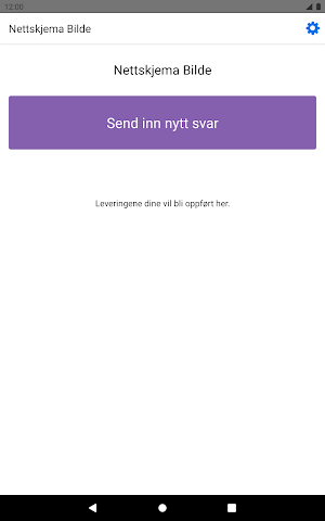 Nettskjema Bilde Screenshot 3