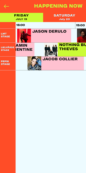 Positivus Festival 2024 Screenshot 3