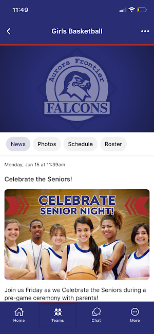 Aurora Frontier Falcons Screenshot 3