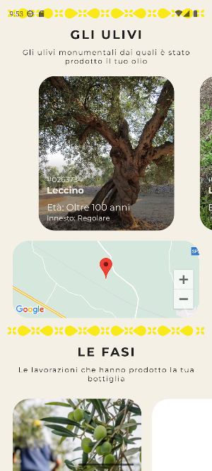 App Ulia Screenshot 3
