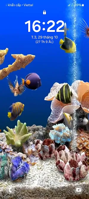 4D Fish Tank Live Wallpaper screenshot 5