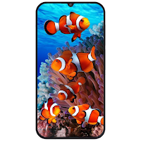 Fish Wallpaper 2024