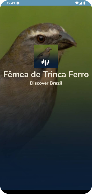 Canto Fêmea de Trinca Ferro Screenshot 0