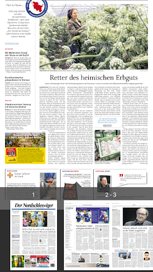 Der Nordschleswiger Screenshot 1