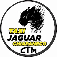 Taxi Jaguar Usuario