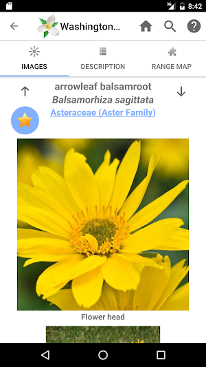 Washington Wildflowers Screenshot 3