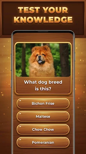 Wood Quiz Blast: Trivia Blocks Screenshot 1