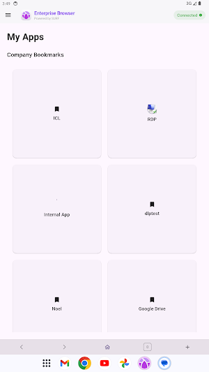Checkpoint Enterprise Browser Screenshot 1