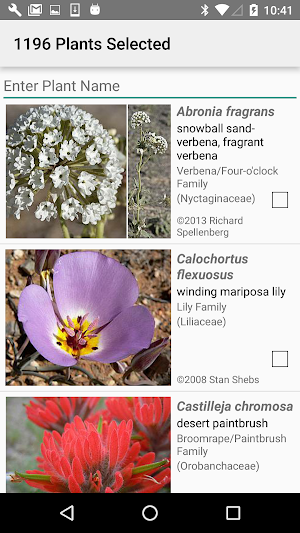 Utah Wildflowers Screenshot 2