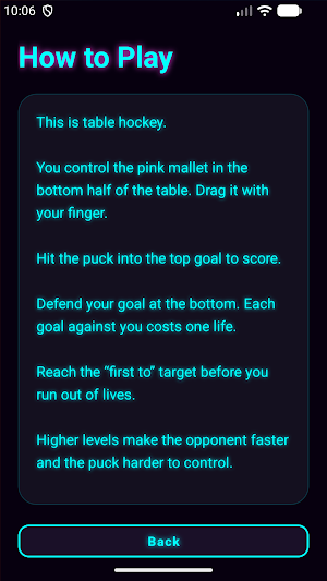 Play Hockey Screenshot 2