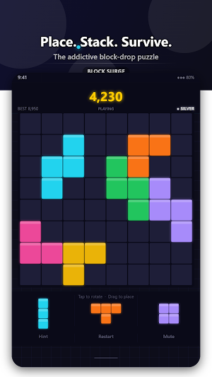 Block Surge: Drop Puzzle Screenshot 0